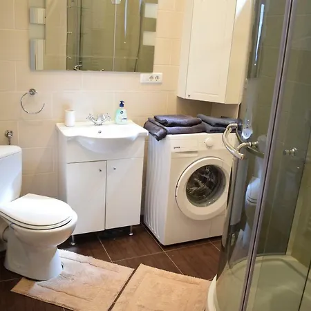 Toma Ionescu Apartment Brasov